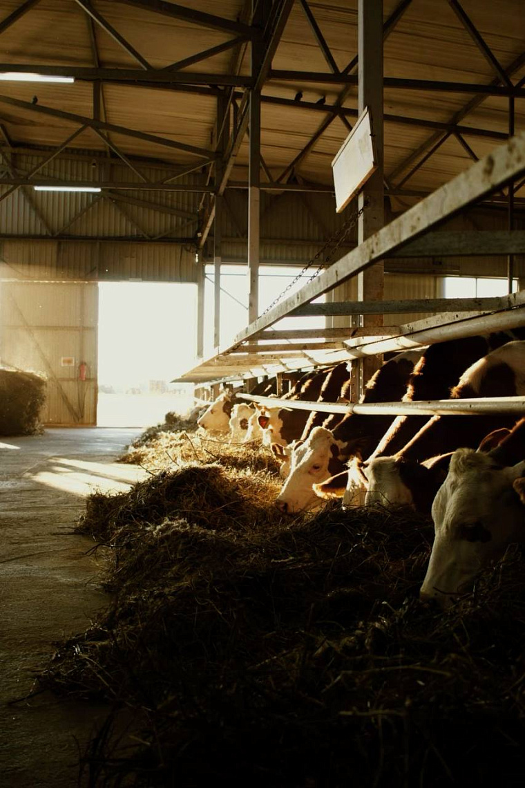 Открыт набор на субсидии